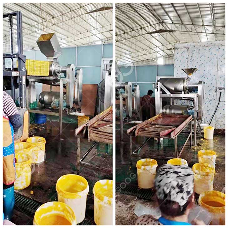 mango pulp made in factiry