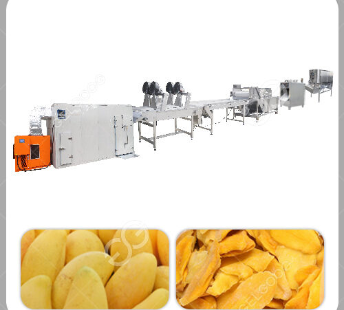 dried mango processing line