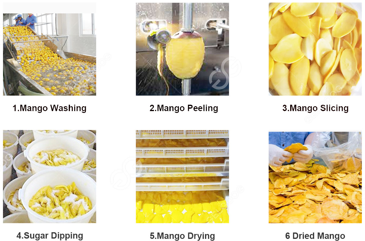 drying mango processing plant