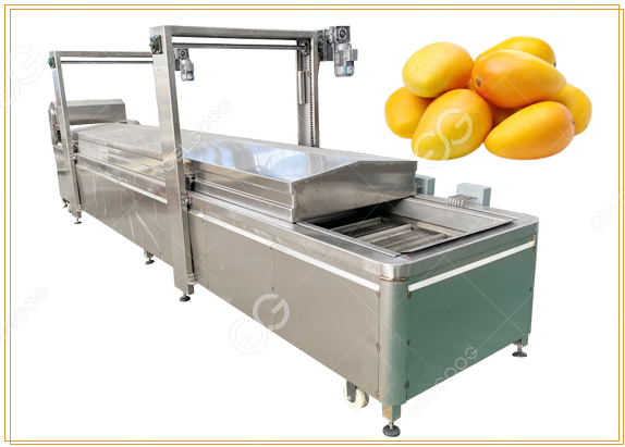 mango hot water treatment system