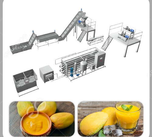 mango pulp juice processing line