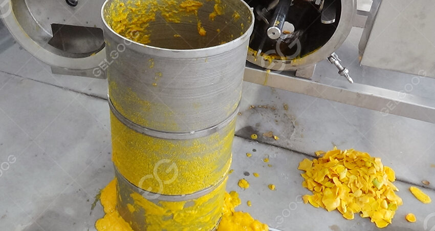 mango pulp machine cases