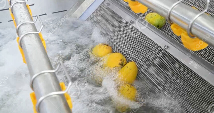 Mango Washing Machine Cases