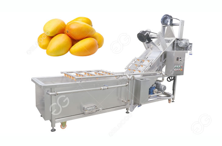 mango washing machine
