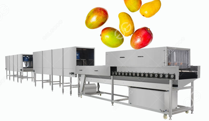 mango waxing drying machine