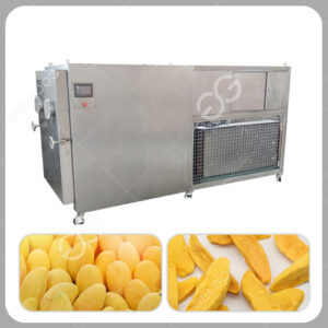 mango dry freeze machine