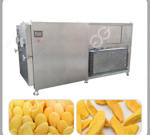 Industrial Mango Fruit Vacuum Freeze Drying Machine