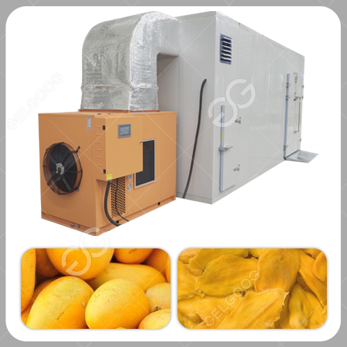 mango drying machine