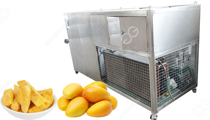 mango freeze drying machine