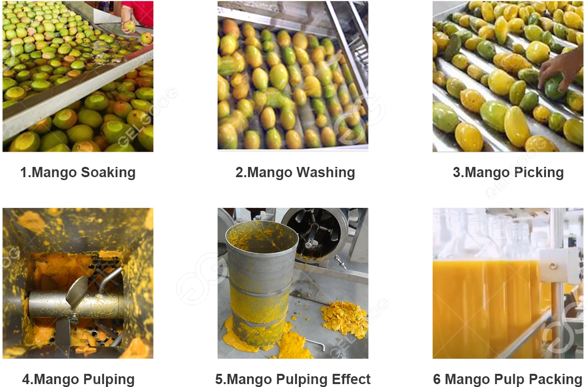 mango pulp processing machinery
