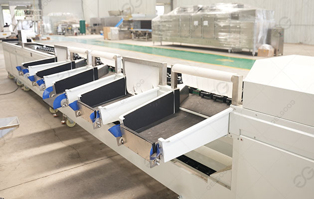 mesin penyortir mangga