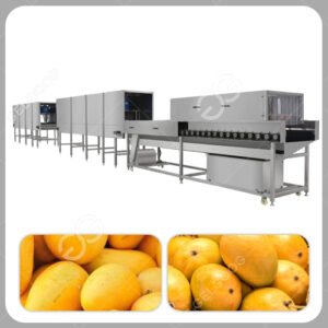 mango waxing machine