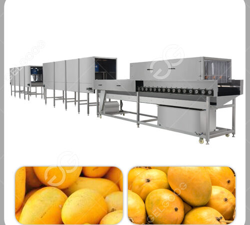 Industrial Fruit Vegetable Washing Machine High Pressure Mango