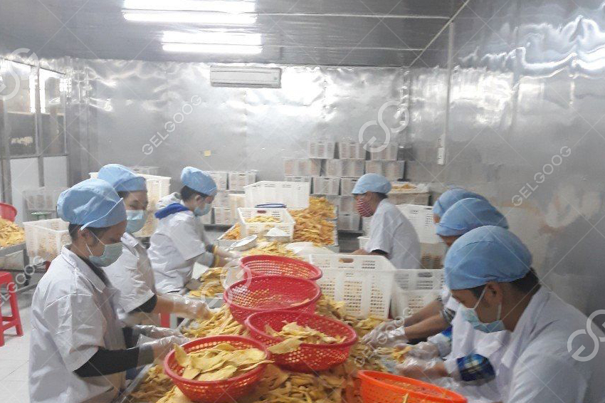 how to make mango chips