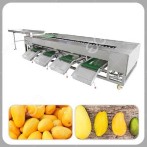 mango sorting machine