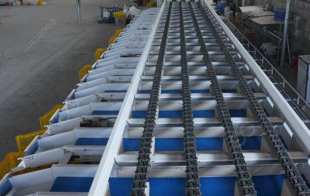 mango-sorting-machine-price