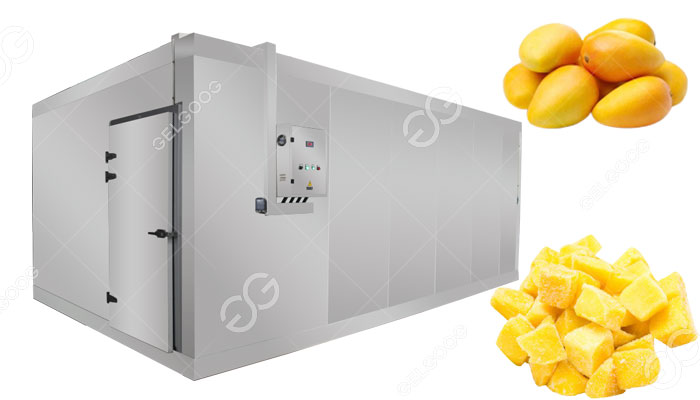 small scale mango freezer
