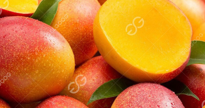 mango preserve