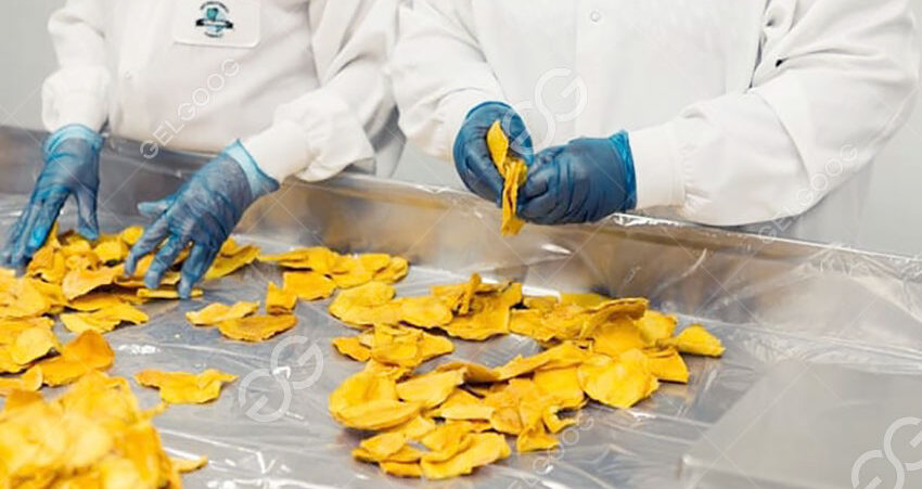 dried mango industry
