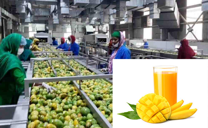 mango-juice-processing-plant