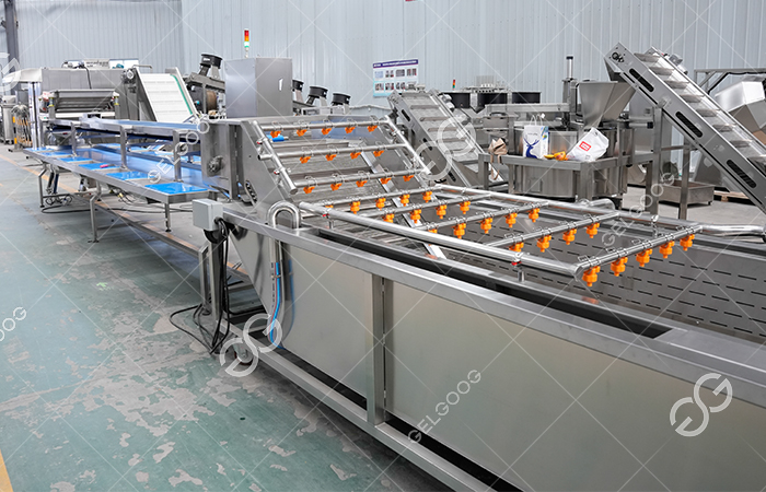 efficient-mango-processing-machine