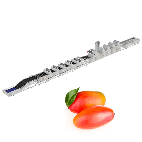 Automatic Mango Fruits Washing Waxing Drying Grading Line