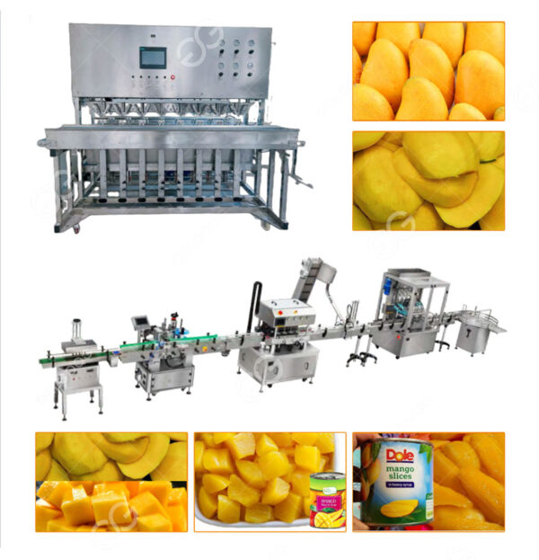 Fresh Cut Canned Mango Production Line