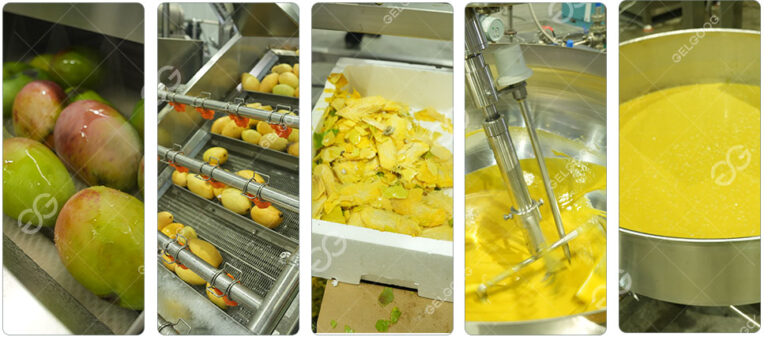 Mango Processed Mango Puree Production Line Turnkey