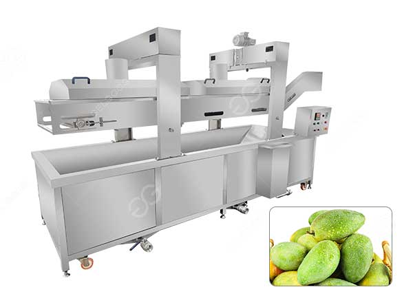 Mango-hot-water-treatment-equipment-for-sale