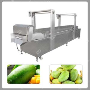 mesin pengolahan air panas mangga