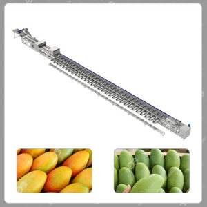 mango-grading-system