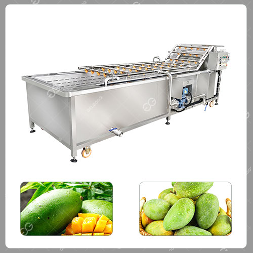Mango Washing Equipment For Sale - Image 3