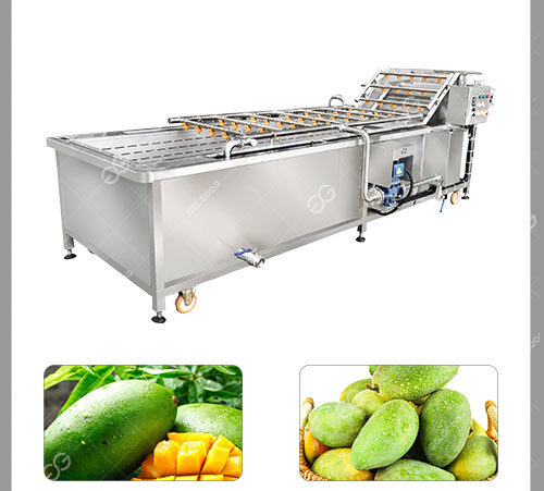 Mango Washing Equipment For Sale