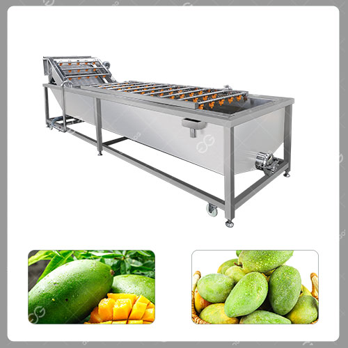 mango-washing-equipment