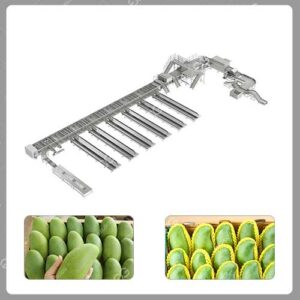 Mango-Packing-Line
